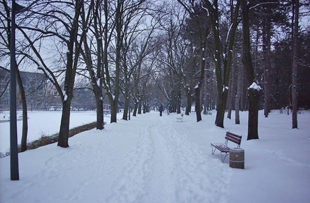 Облачно преди обед
