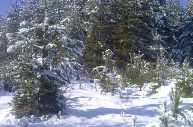 Зимната обстановка в община Габрово на 27 януари