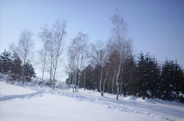 Времето на 27 януари: Слънчево с температури до 8 градуса в Плевен