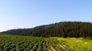 Информационна среща по кампанията за директните плащания в