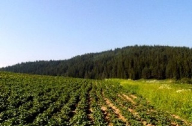 Информационна среща по кампанията за директните плащания в