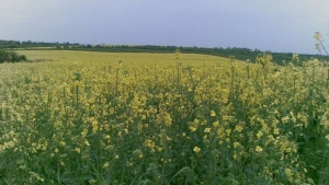 Разясняват на земеделците новостите по директните плащания