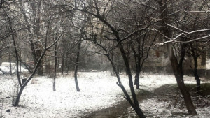 Температурите скачат до 15 градуса