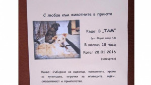 Доброволци организират благотворителна акция за кучетата в приюта в Шемшево
