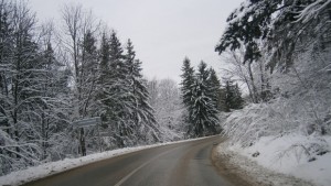 Пътната обстановка в община Габрово