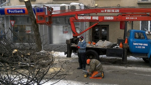 Близо 140 дървета обезопаси Паркстрой в Плевен