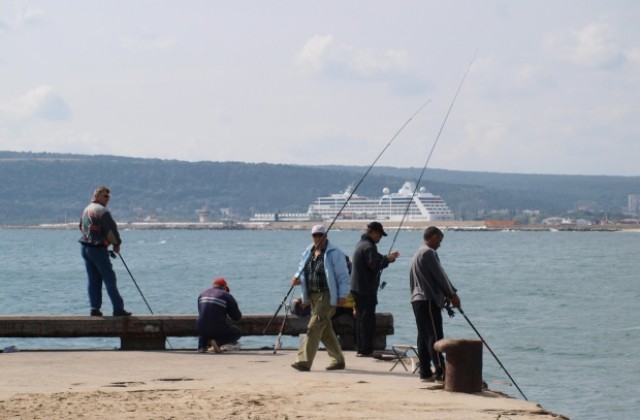 Удължават забраната за улов на есетрови риби в Черно море