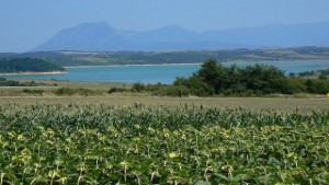 Разясняват директните плащания на земеделците в Аксаково