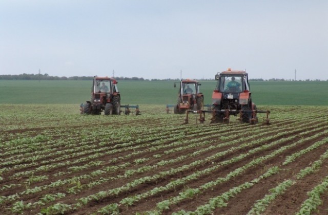 Продължава информационната кампания на МЗХ за директните плащания в Област Кюстендил