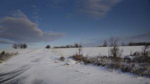 Времето на 2 февруари Слънчево и топло