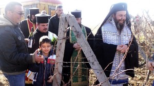 Трифон Зарезан в лозята на Бошкилови