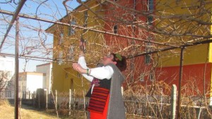 Конкурс за найдобро домашно вино Трифон Зарезан 2016 в Кюстендил