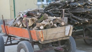 Общината задържа 20 каруци с незаконно изсечени дърва