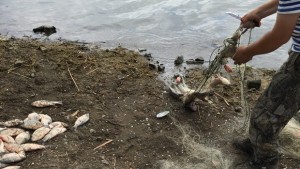 400 метра бракониерска мрежа извадиха от язовир Жребчево