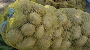 Тонове картофи започват да гният в Смолянско