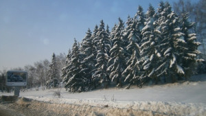Студено с валежи от сняг