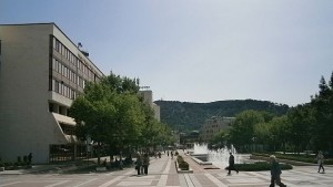 Над 350 нарушения на обществения ред в Благоевград