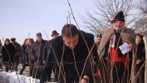 Камбитов посреща Трифон Зарезан в село Дъбрава