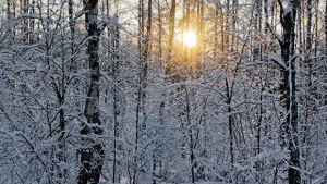 Топло и сняг ще се редуват до края на феевруари