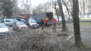 Паркстрой приема сигнали на граждани за паднали клони в Плевен
