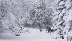 Крадец дебне туристите на Узана