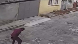 Варненец влиза в затвора заради жестоко убийство на котка