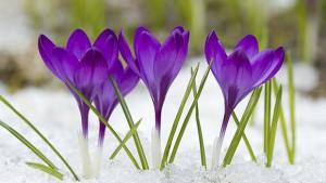 Слънце и пролетни температури днес