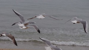 Времето на 10 февруари Облачно с валежи