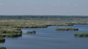 Рибарски мрежи са извадени от езерото Сребърна