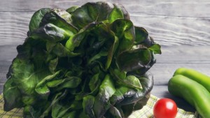 Старите традиции в храненето извор на здраве