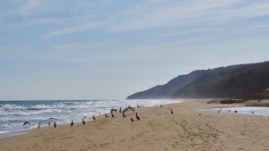 Пазят със законови промени плажовете Иракли Корал и Карадере