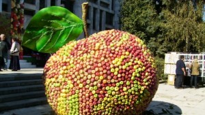 Времето не създава проблеми за овощните градини засега