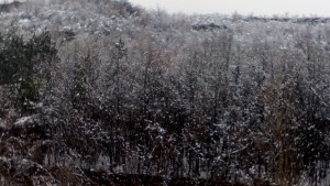 Времето на 12 февруари