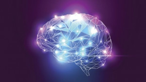 Учени разкриха как мозъкът реагира на самотата