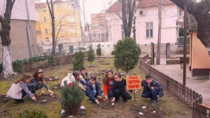 Засадиха Розата на Цвети в двора на НУ Христо Ботев