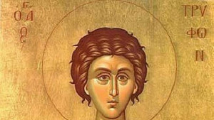 Днес празнуваме Трифон Зарезан