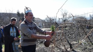 В Горски горен Тръмбеш зарязаха лозите и избраха Цар на