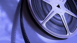 Продължават снимките на Роза Дамасцена край Скобелево