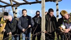 Даниел Панов заряза лозите в Килифарево и Лясковец