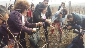 Танева пожела здраве и още подобра година на лозари и