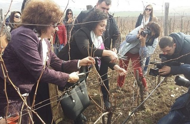 Танева пожела здраве и още по-добра година на лозари и винари