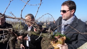 Трифоновден в Стралджа