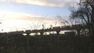 Километрична опашка от ТИРове на Дунав мост