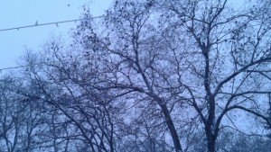 Конкурсът Влез в час с уроците на природата продължава до