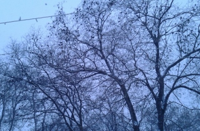 Конкурсът Влез в час с уроците на природата продължава до 29 февруари