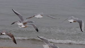 Температурите скачат до 25 градуса