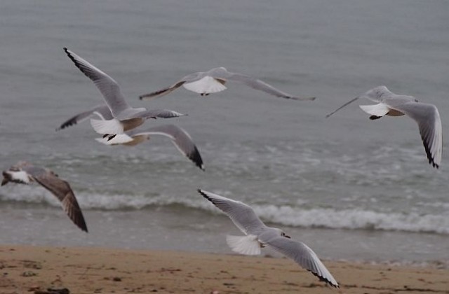 Температурите скачат до 25 градуса