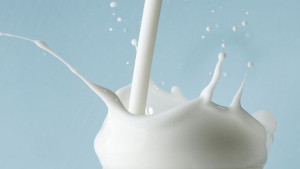 Биомесото и биомлякото какво ни дават те в повече