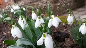 Времето на 17 февруари Температурите тръгват надолу