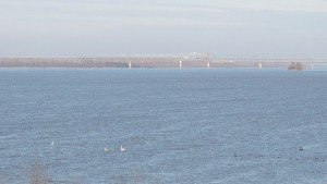 РИОСВ Източникът на замърсяването по р Дунав не е брегови